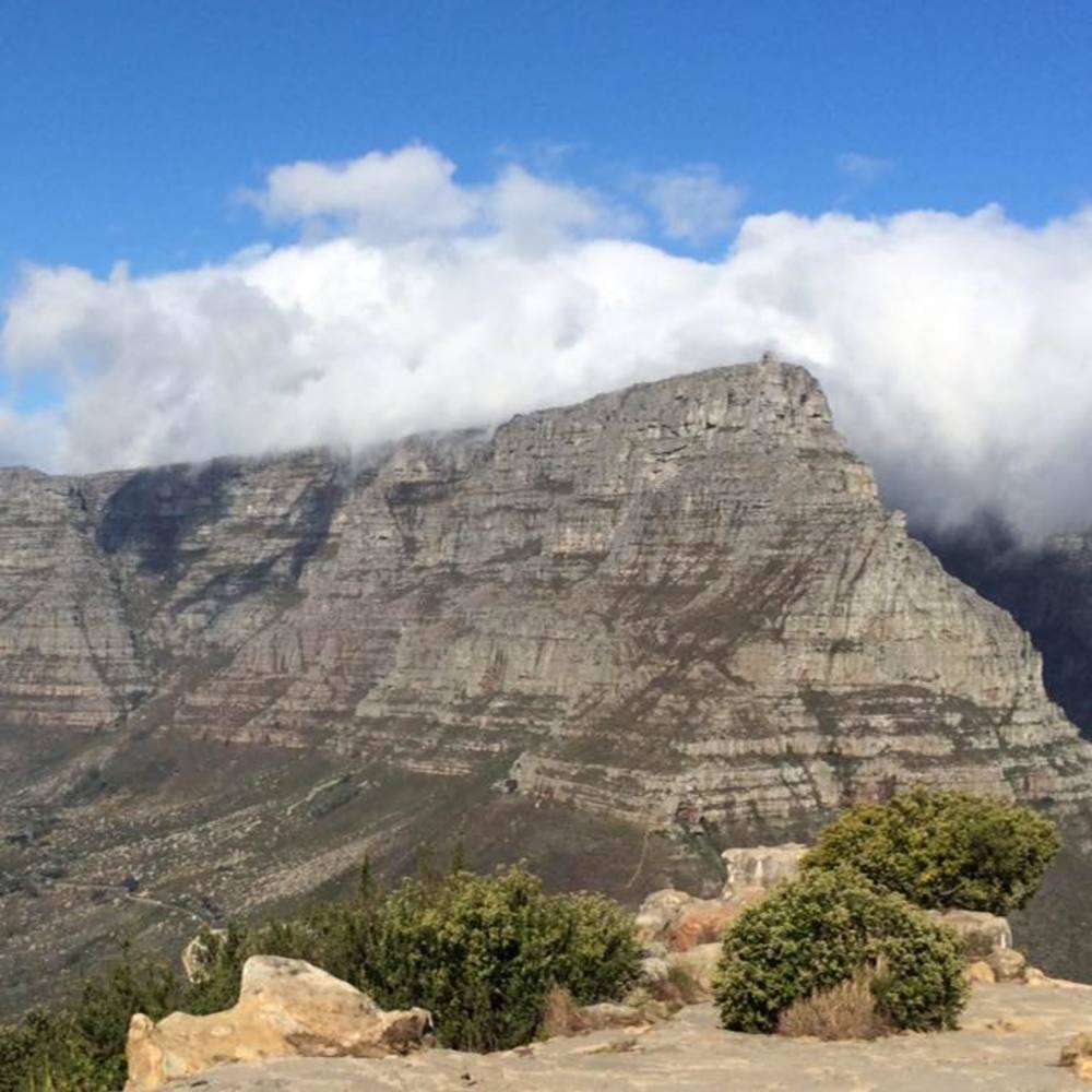 Meet your Posher, Wilder